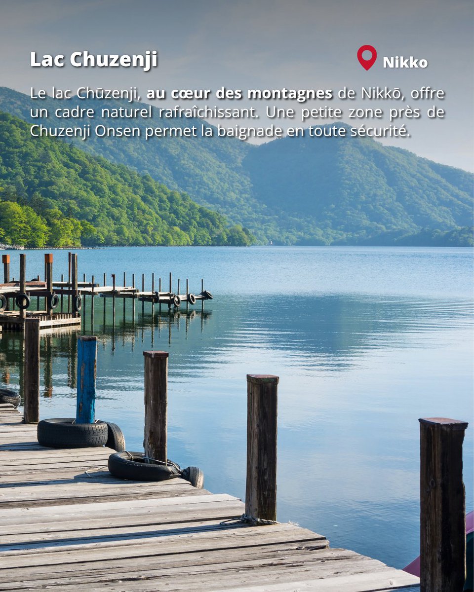 Japan Experience ✈️ tweet media