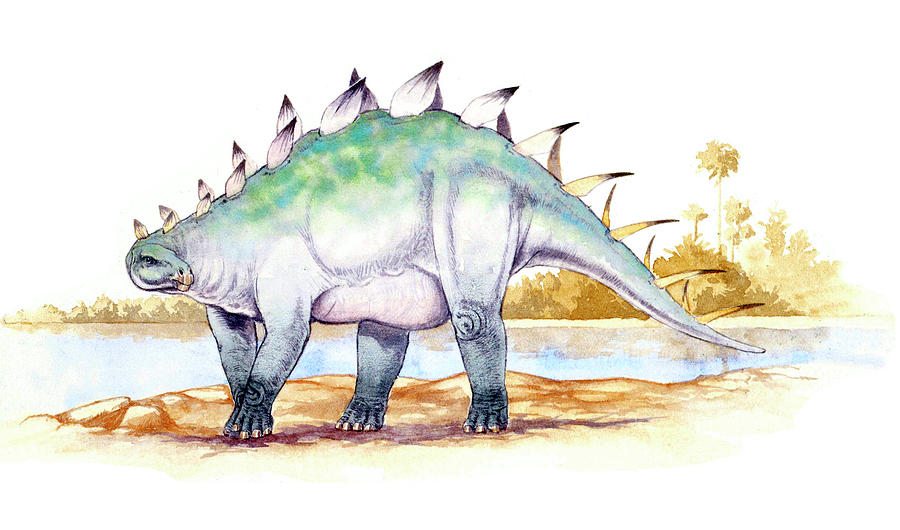 dinonostalgia's tweet image. Dacentrurus, the tail full of points, was a stegosaurian dinosaur from the Late Jurassic of Europe.
It lived from 154 to 140 million years ago and could grow to 8 meters in length.