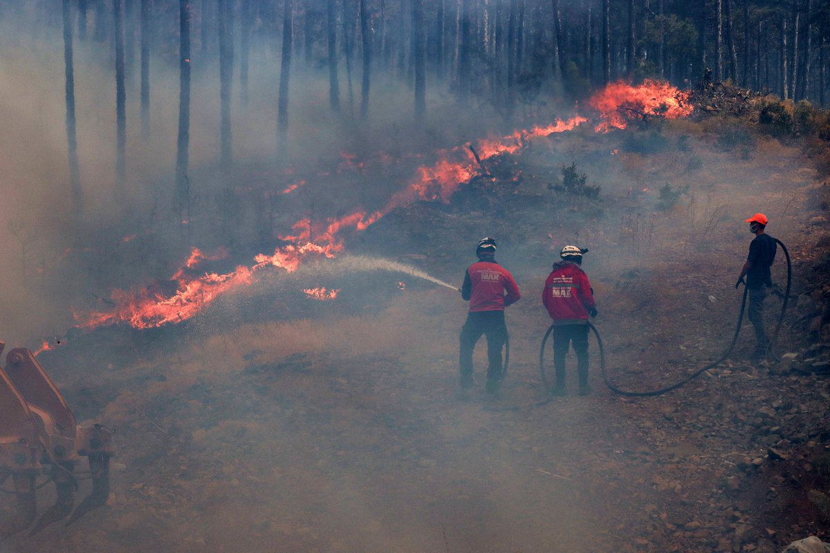 Bursa'da alevler yeniden yükseldi: Orhaneli ve Harmancık'ta orman yangını 3. gününde.

📌Rüzgarın etkisiyle yeniden büyüyen orman yangınına müdahale sürüyor. #BursaYanıyor