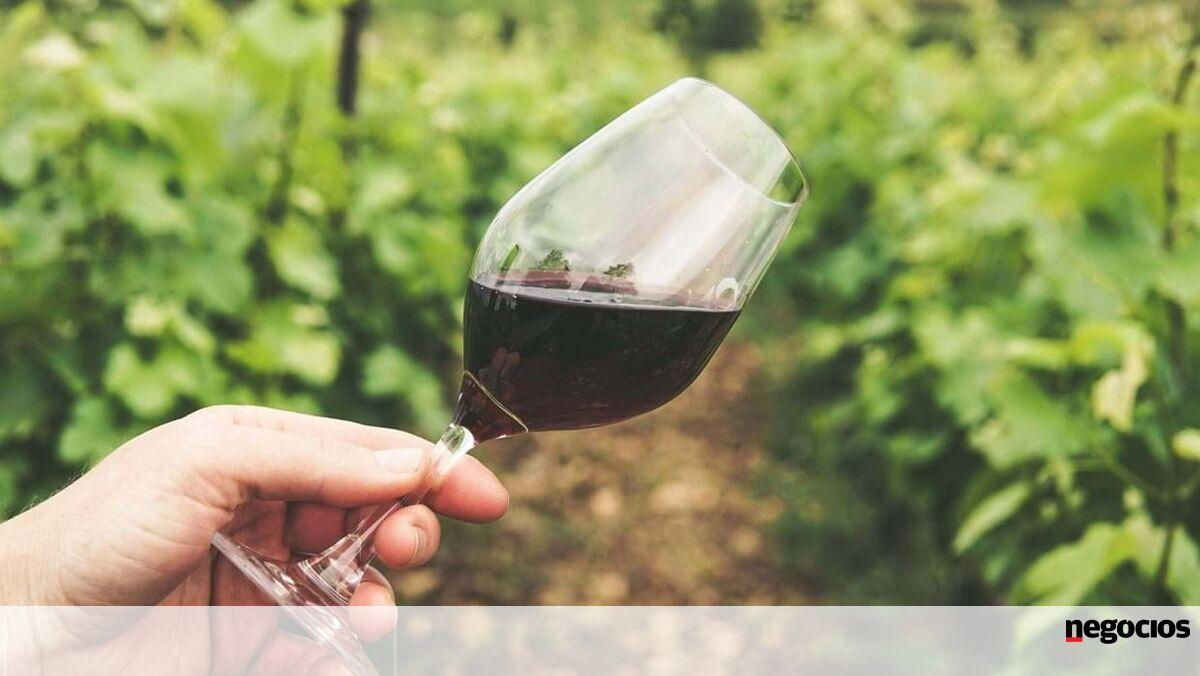 JNegocios's tweet image. Bruxelas aponta quebra histórica na produção de vinho ebx.sh/1DatKD