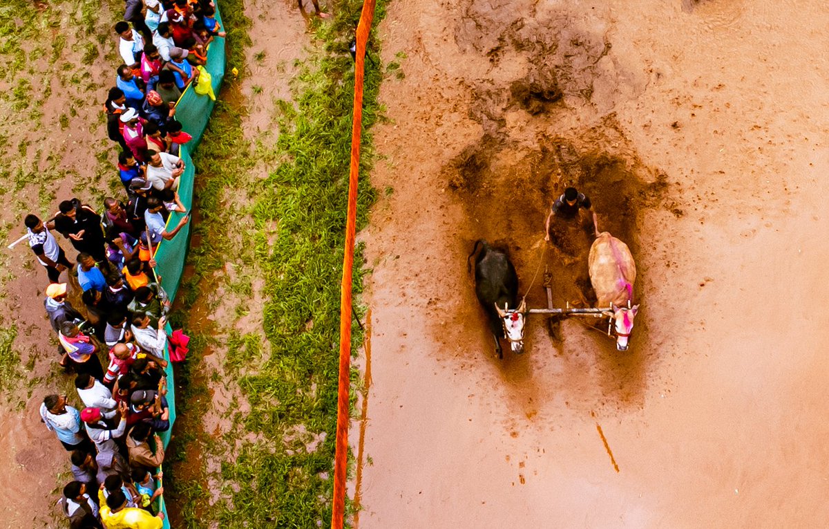 A ploughing competition, known as "Nagrani," was organised in the Ratnagiri district to promote awareness of traditional collective farming methods that have become outdated.