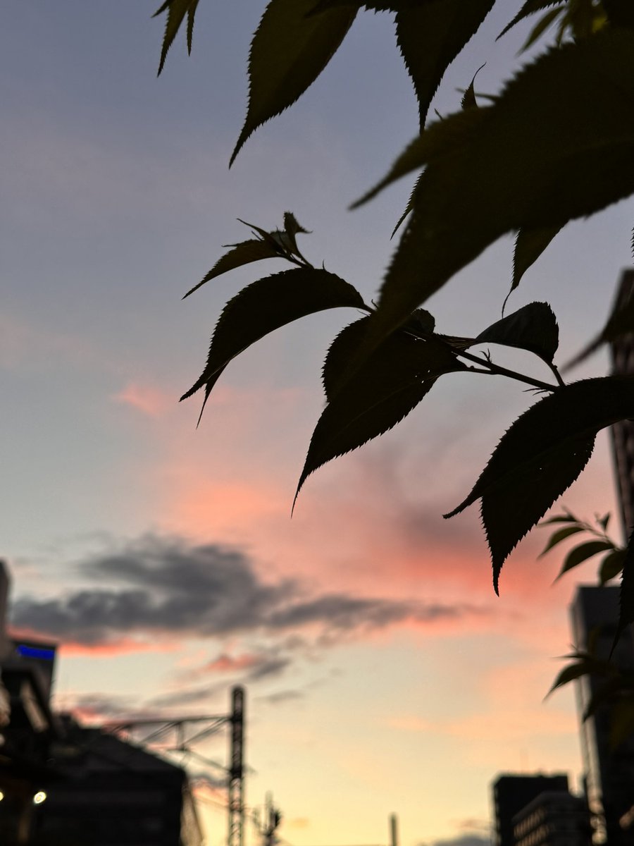 ashtangayy's tweet image. 新幹線に乗る時
隣の席の人が落ちつかなくて
その人が上の棚に置いたバックから
私の上にペットボトルが落ちてきた
隣に夫がいたけれど
とにかく落ちつかなくて、
スマホスマホ　寝たなと思ったら
まだスマホ　
夫は横で寝ている
1人で新幹線に乗る時は
必ず
膝掛け
靴下
水
イヤホン…