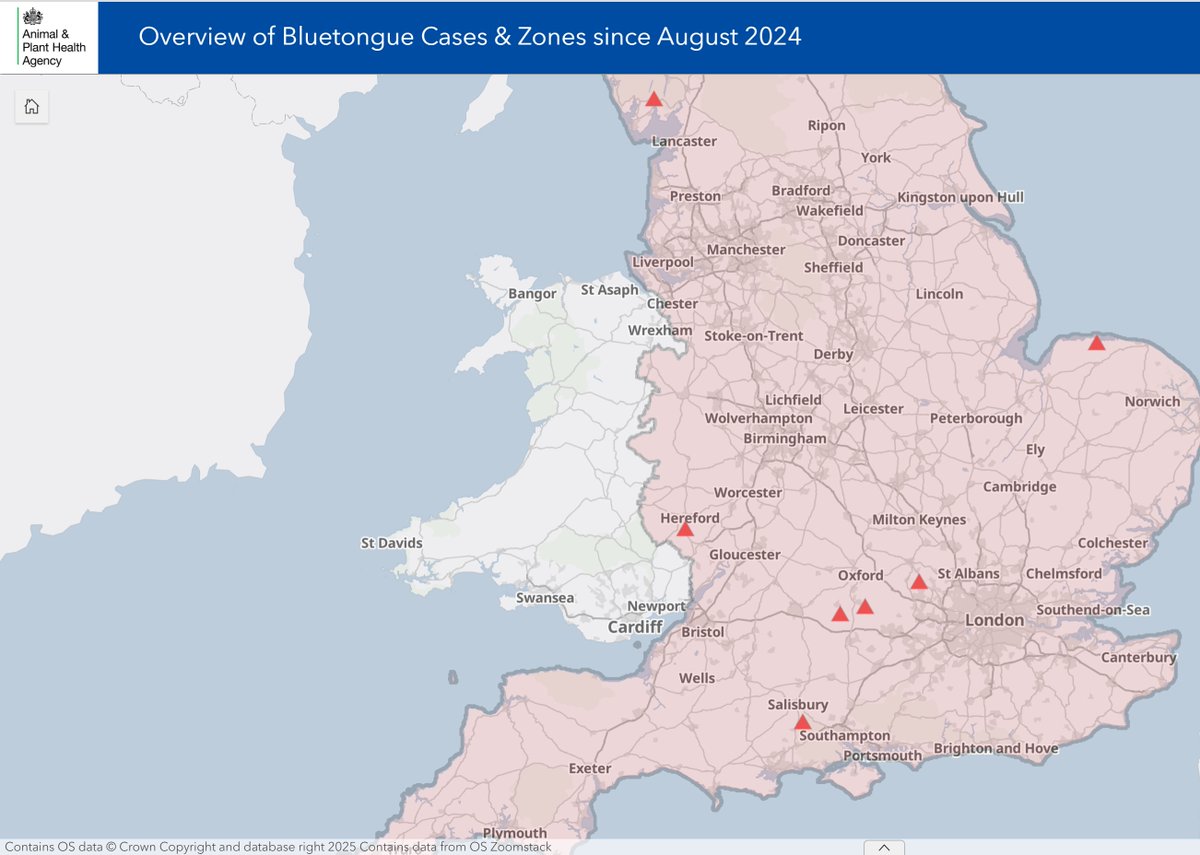 SaraPedersen3's tweet image. 🏴Vets working in Wales 🏴
***BLUETONGUE WEBINAR***
The next Welsh Government Bluetongue webinar is this Wednesday 30th July at 4pm. Check your inbox from your VDP for the joining details.
#DoNotWaitVaccinate #NacOedwchBrechwch
#BattleBluetongue