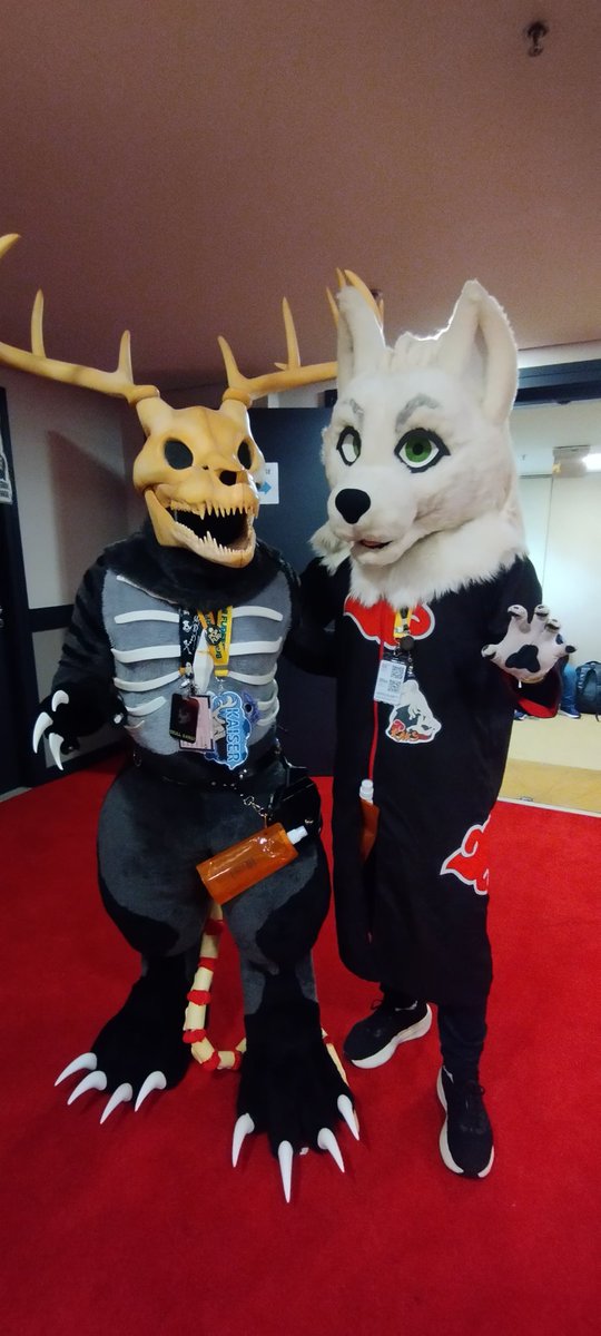 RRuronisai's tweet photo. Postando atrasado as fotos da #brasilfurfest2025 (parte 1)

(Quem puder ajudar com os @ agradeço xD) https://t.co/pgbCK47zpN