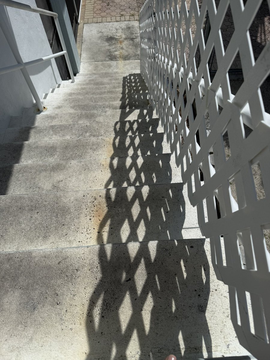 Desperate times call for desperate measures. Let’s see if my little escape artist can get through this.