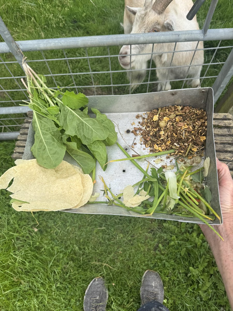 supermegafrenchcat tweet media