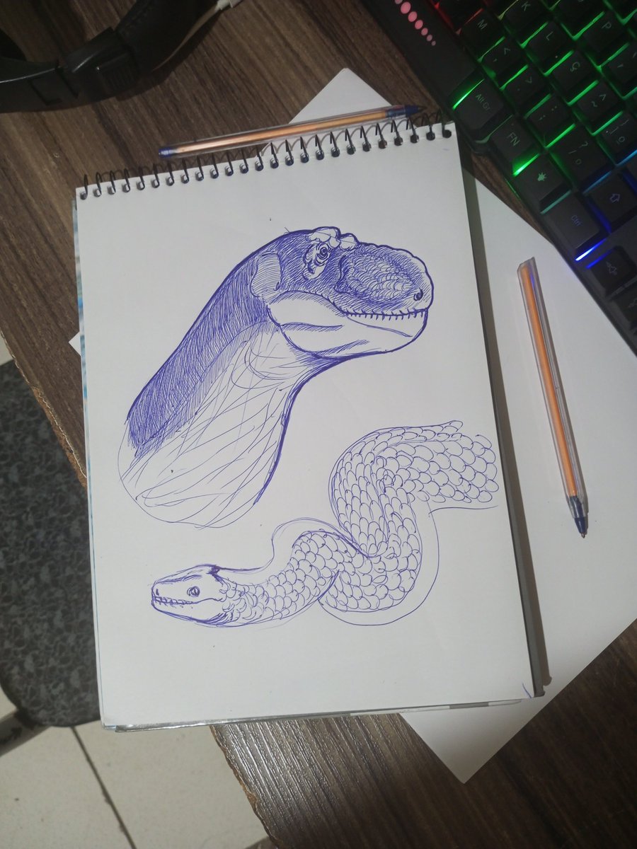 SouUriel's tweet image. Só um esboço pra prática 
#drawing #sketches
