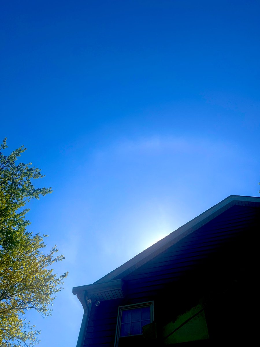 y2chaotic's tweet image. Graced by the sun dog this morning
🙏💛🌈⭕️🌞🐕