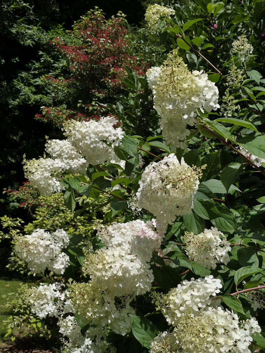 Сегодня работала садовником.