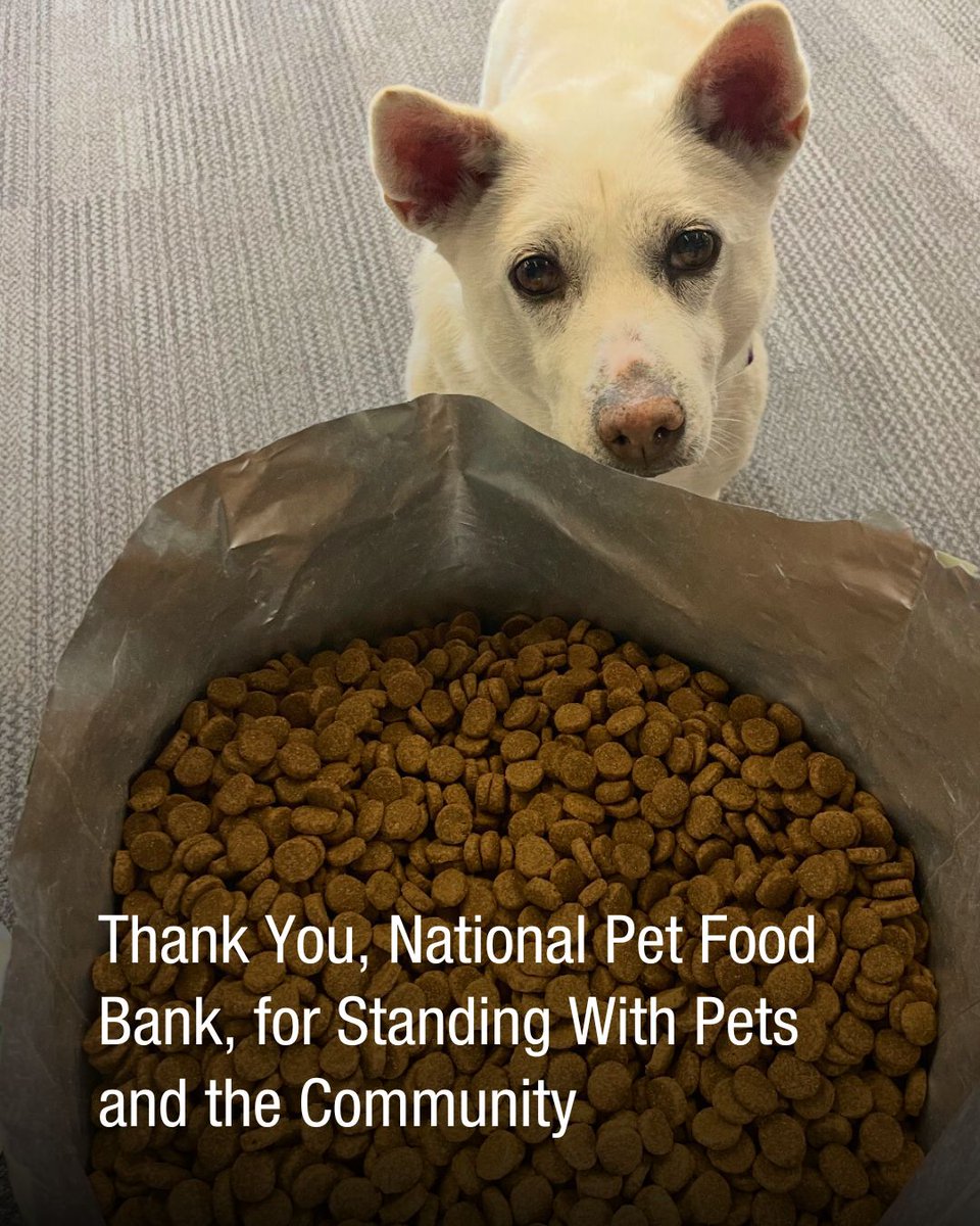 Thanks to the National Pet Food Bank, our shelves are stocked and tails are wagging. Their support helps us care for pets and build trust with our DTES community. Want to help too? You can donate directly to the Pet Outreach Program at atira.bc.ca/ways-to-help/d…

#AtirasPetOutreach
