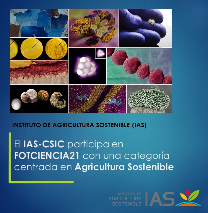 IAS_CSIC's tweet image. 📸El IAS-CSIC participa en FOTCIENCIA21 con una categoría centrada en Agricultura Sostenible
#cienciaparalagricultura #CSIC @CSICdivulga @IAS_CSIC #FOTCIENCIA21 @CSIC @FECYT_Ciencia
🔗 ias.csic.es/?p=38591