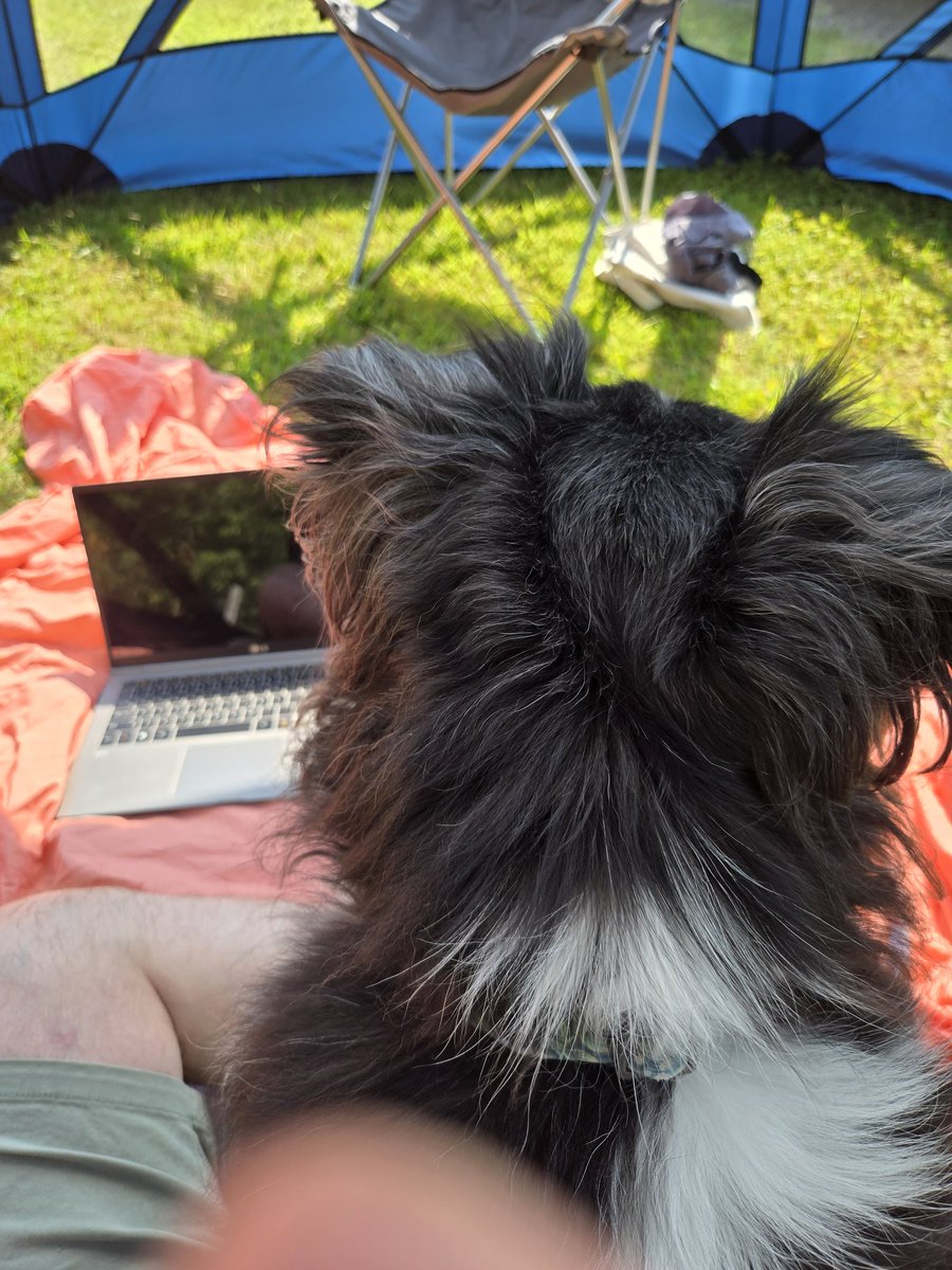 Wesson The Spring/Mud Moose (@memoosemission) on Twitter photo Pops and I were outside on Saturday in our new pop up tent in the yard! While he was doing some work, I maintained that close Snoopervisation of the work was necessary. I hope <a href="/WilmaBenton19/">The Snoopervisor / Wilma</a> would have been proud ๐ถ๐ Pops and I were outside on Saturday in our new pop up tent in the yard! While he was doing some work, I maintained that close Snoopervisation of the work was necessary. I hope <a href="/WilmaBenton19/">The Snoopervisor / Wilma</a> would have been proud ๐ถ๐