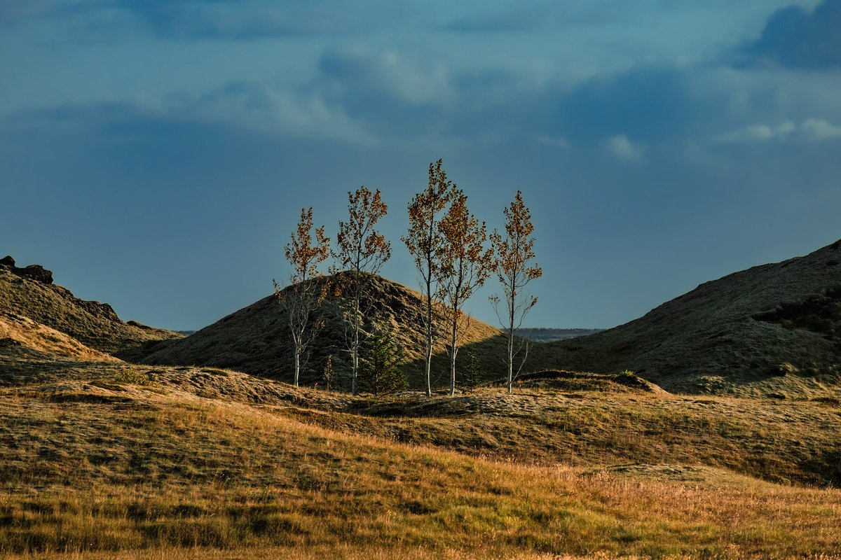 JureYurko's tweet image. Iceland