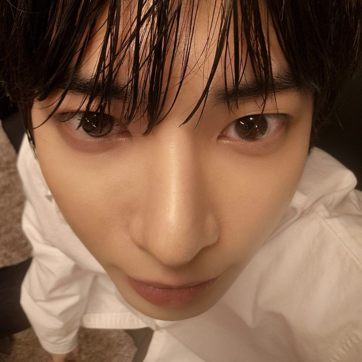 Gyuphoriaaaa's tweet image. don’t say it dont say it dont say it dont—

   boba sr.                                                      boba jr.