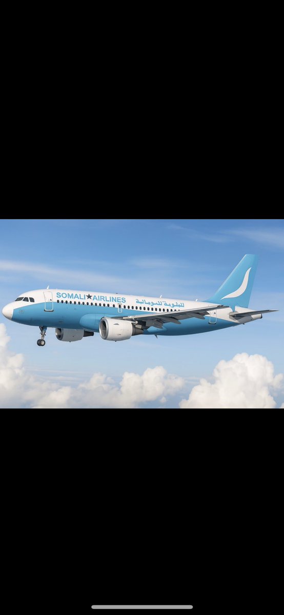 Hiraabniimo's tweet image. SOMALI AIRLINES IS BACK🇸🇴🙏 #AllahuAkbar
