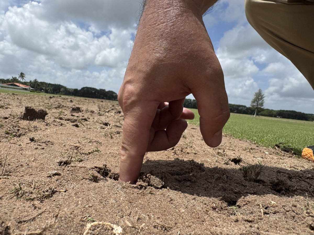 Drew Williams tweet media