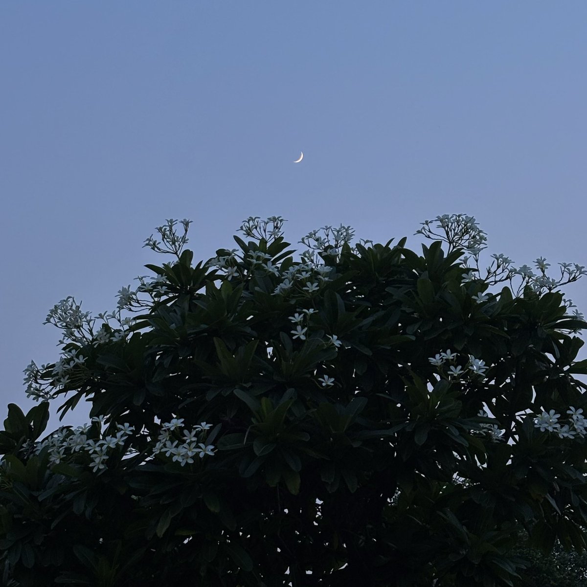 zeeaurav's tweet image. existing quietly