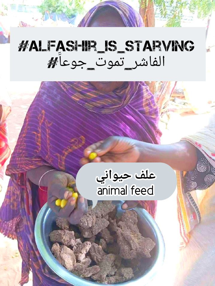 #AlFashir_is_starving people are resorting to eating animal feed as the siege continues