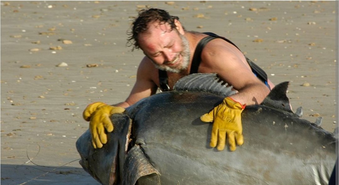 <a href="/laparadadelcine/">La Parada de los Sueños</a> Atún con chocolate