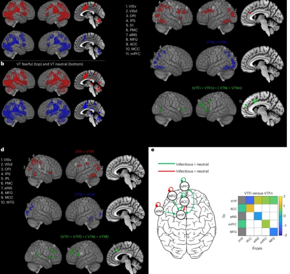 Nature Neuroscience

Neural anticipation of virtual infection triggers an immune response

nature.com/articles/s4159…