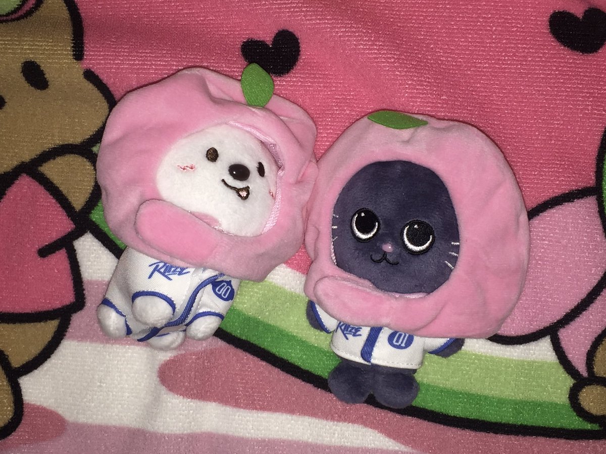 suzzangriize's tweet image. 다들 다이소 인형 옷을 꼭 사길 발해요