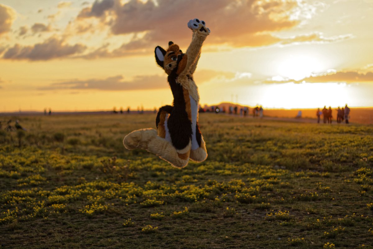 Himaru_Shepherd's tweet image. I can fly βΊοΈπ₯°
#MFYMonday
πΈ@FloekeWusky