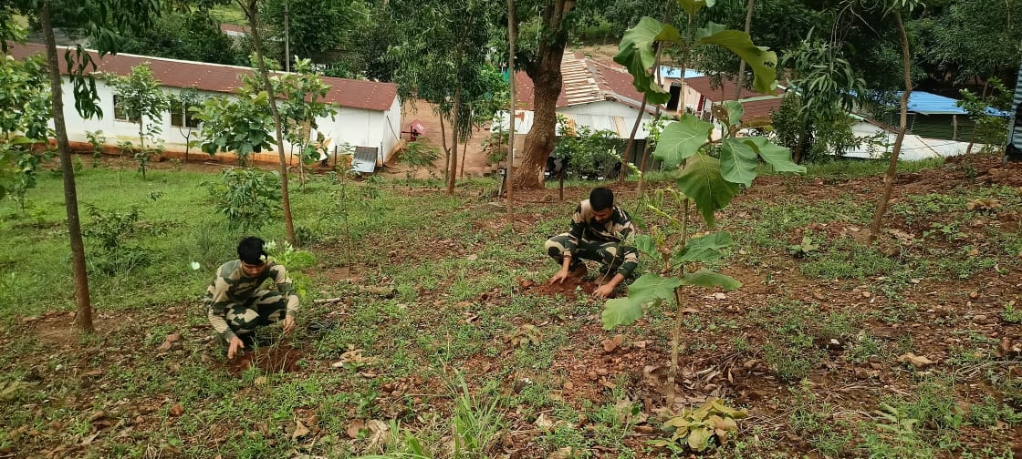 BSFODISHA's tweet image. 🇮🇳 Sowing seeds of hope, harvesting a greener tomorrow! 🌱🌿
116 Bn BSF's F Coy, COB Badapaju, planted 115+ saplings, taking a step towards a sustainable future.🌳
#BSF
#GoGreen #BSFforEnvironment #PlantationDrive
#BSFOdisha