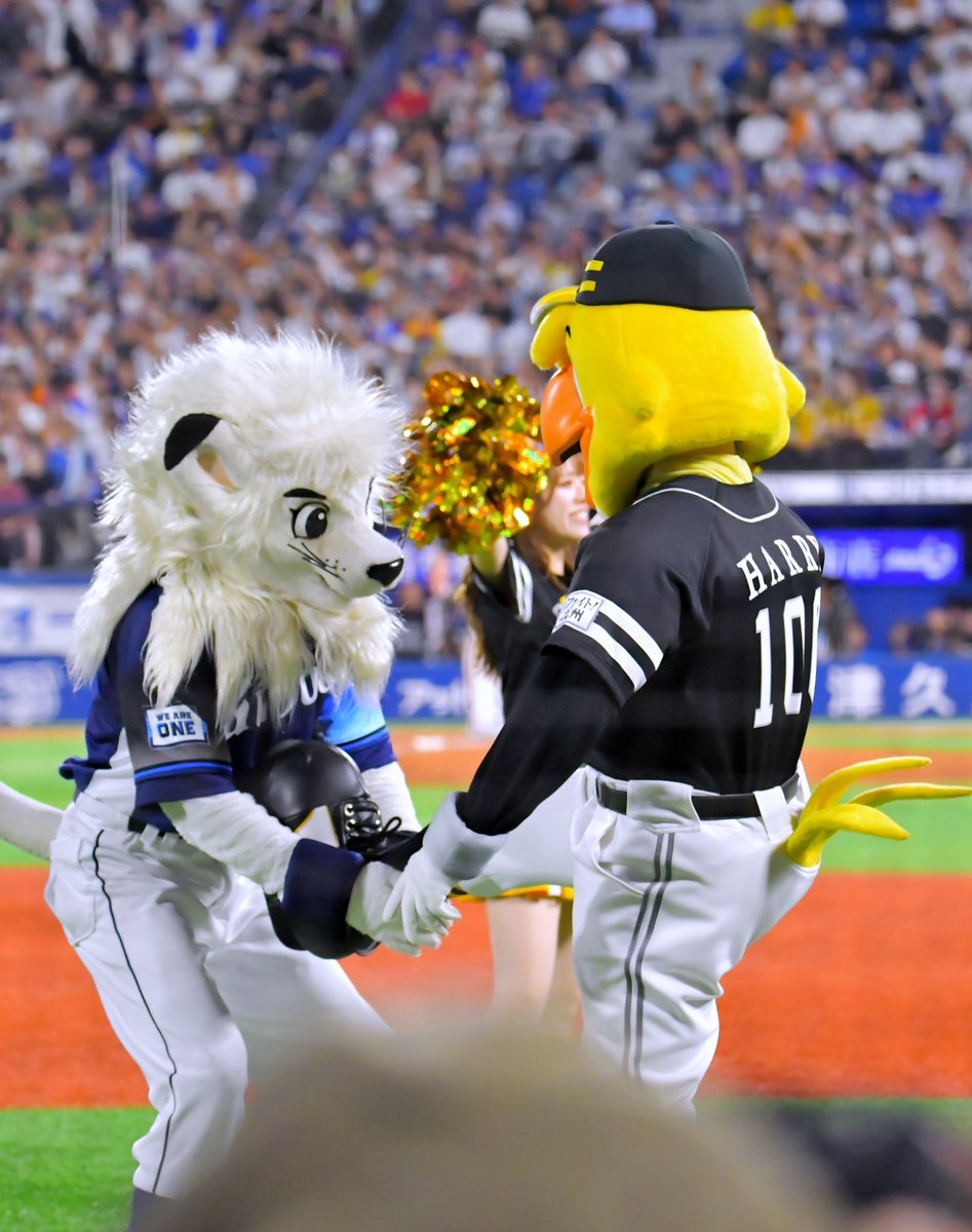 ssyk0531's tweet image. 運動神経つよつよボーイズ‼️🦁🦅