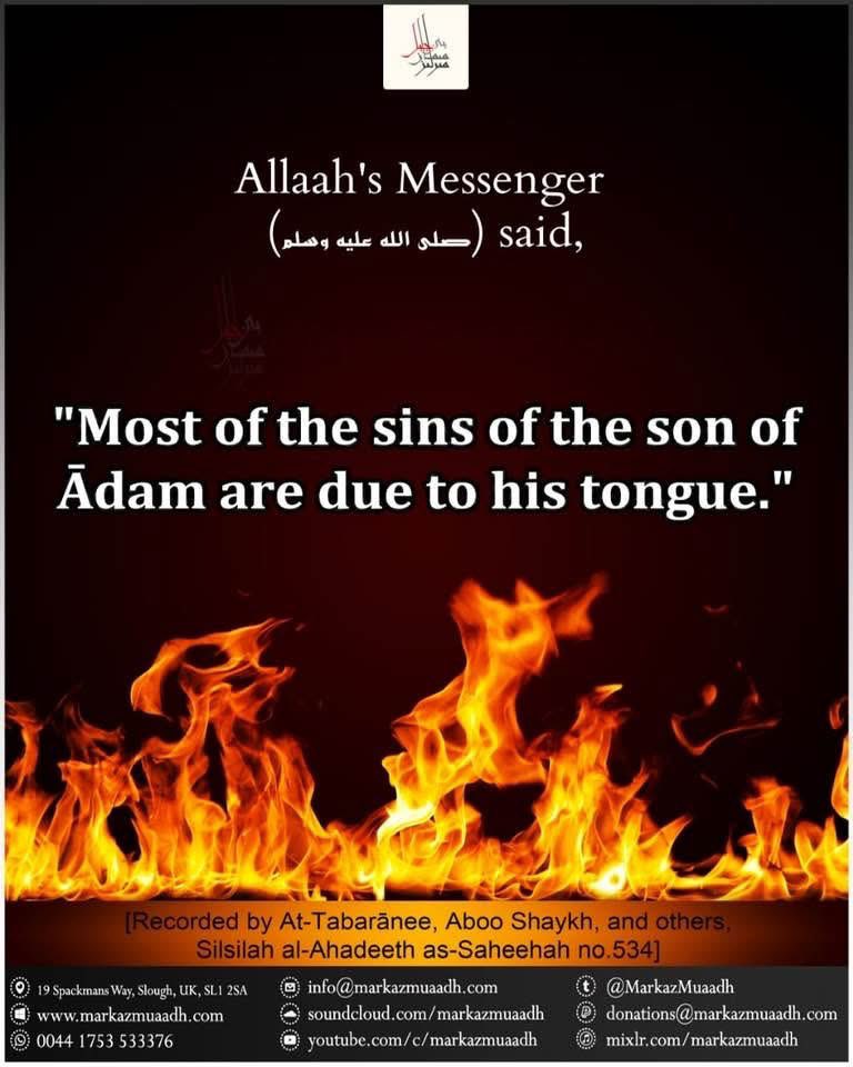 omer_shoaib's tweet image. 