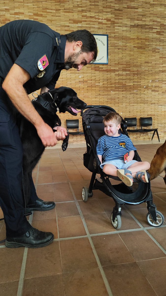 policia's tweet photo. 👮‍♂️👮 Nuestros compañeros de  #Málaga sorprendieron a Marco, un pequeño gran héroe con el síndrome de #Menkes, a su salida del hospital

Luego nos visitó en comisaría y conoció algunas unidades 🐕🚔

Su sonrisa nos conquistó a todos y siempre tiene un sitio en nuestra familia azul 💙

#SomosTuPolicía