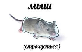 NetMouseSpb's tweet image. По совету уважаемого @udmurt_nator подключил двухфакторную авторизацию.