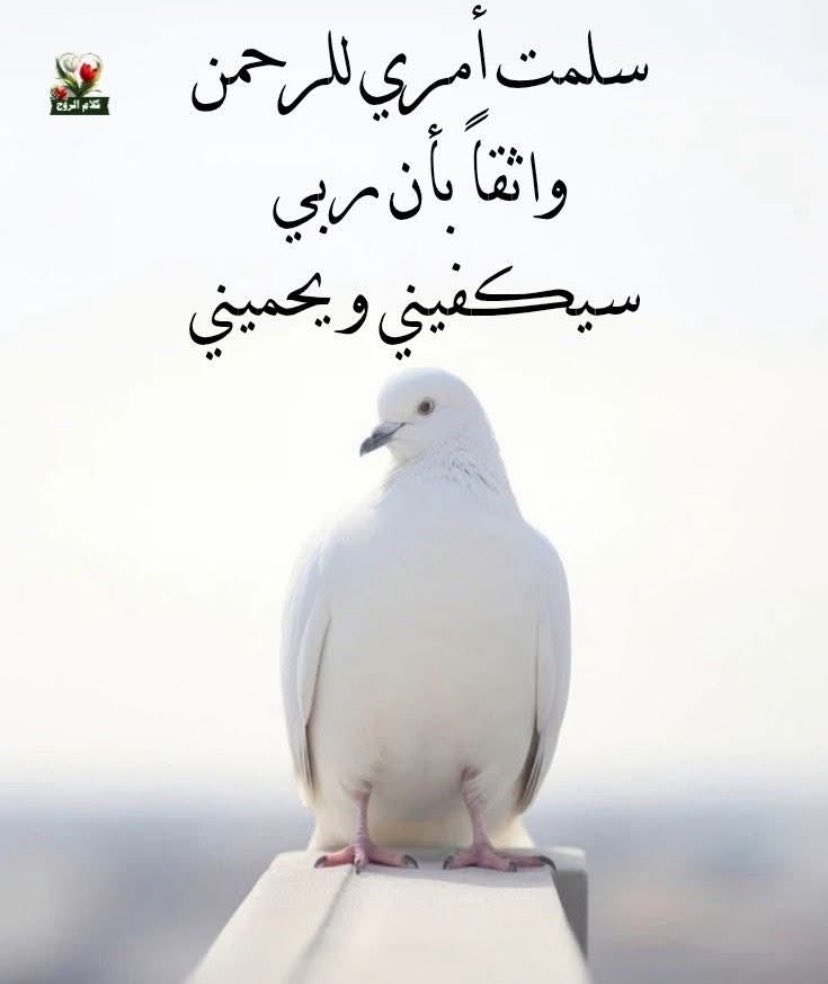 وأسالك يالله الرضا بما قسمت، والرضا لما أعطيت والرضا فيما منعت واجعلني رضيًا مرضيًا.🤍🕊️