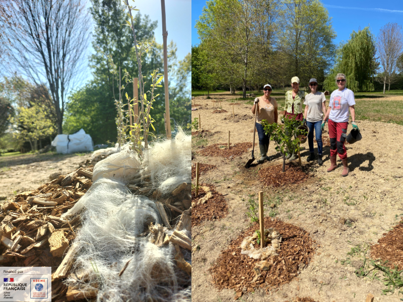DomainedeBassi's tweet photo. 🌿 Visite de la forêt comestible – Domaine de Bassilour - Hotel Bidart Pays Basque🌿  

Chaque samedi à 14h, découvrez notre forêt comestible à Bidart, un écosystème nourricier inspiré de la permaculture. Balade guidée pour toute la famille, au cœur de la nature basque! https://t.co/wQkiWavV2e