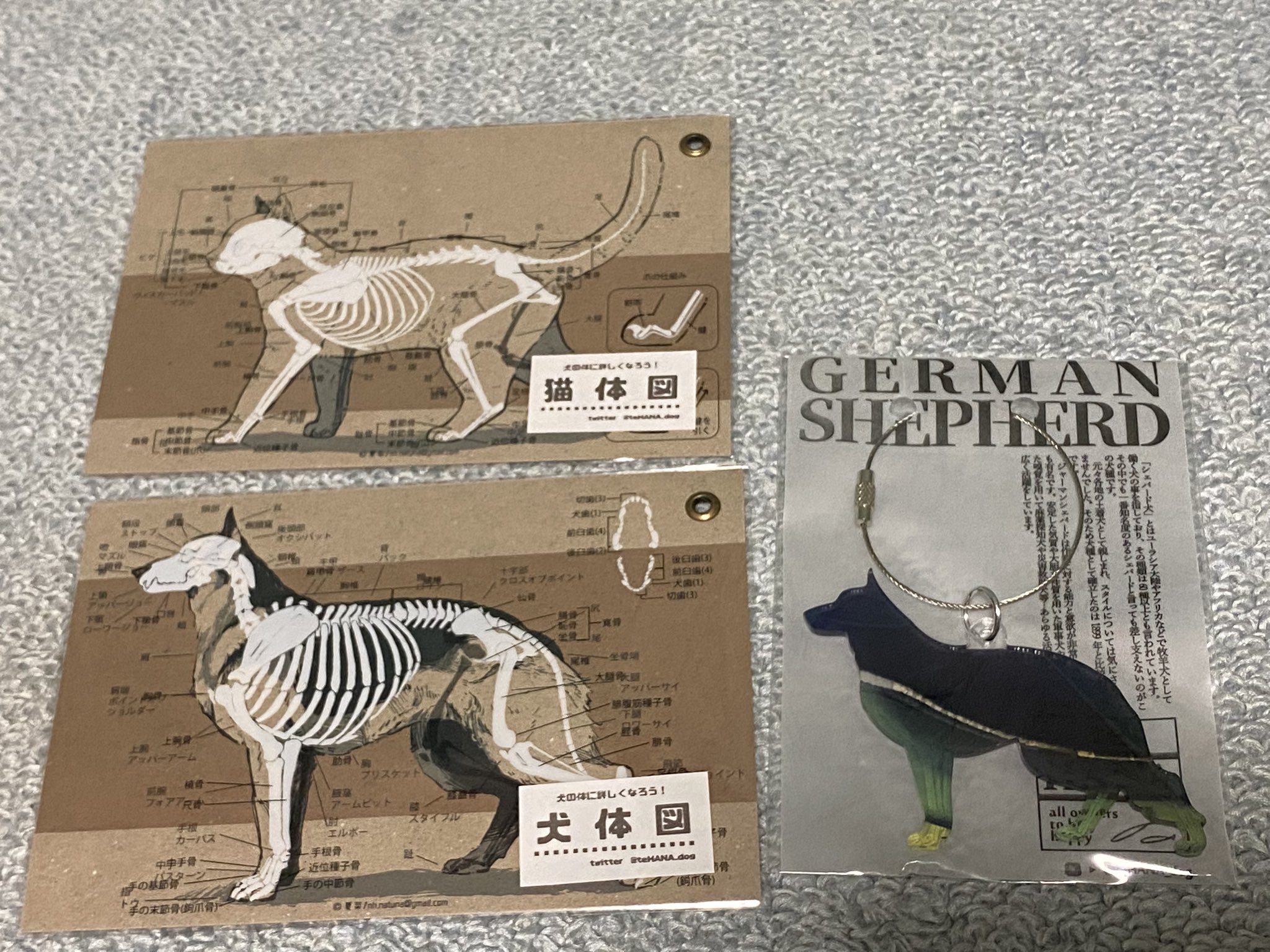 ジェネ犬　まとめ売り　その前 ジェネ犬の値段と価格推移は？｜2件の売買データからジェネ犬の
