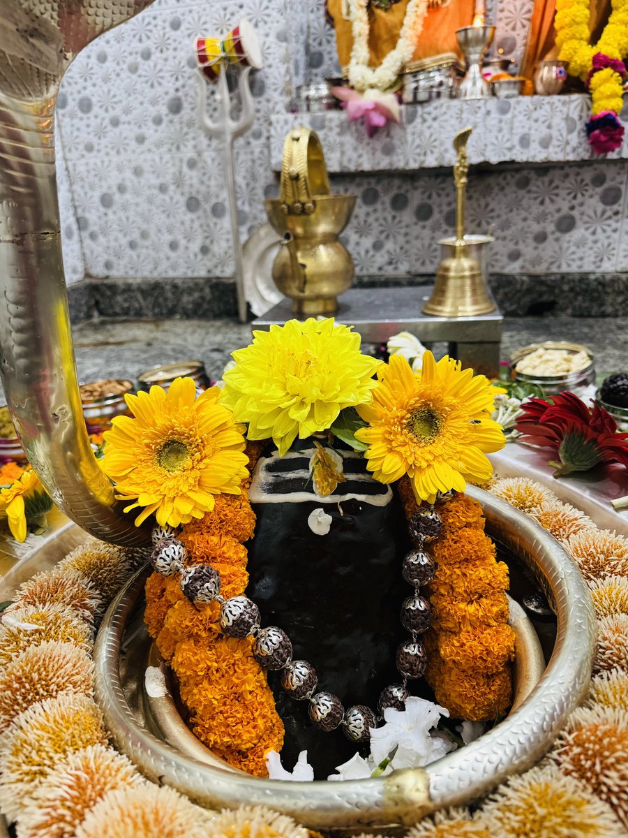neelkanthtemple's tweet image. शुभ रात्रि श्री नीलकंठ महादेव जी
📍 श्री नीलकंठ महादेव मंदिर उत्तराखंड