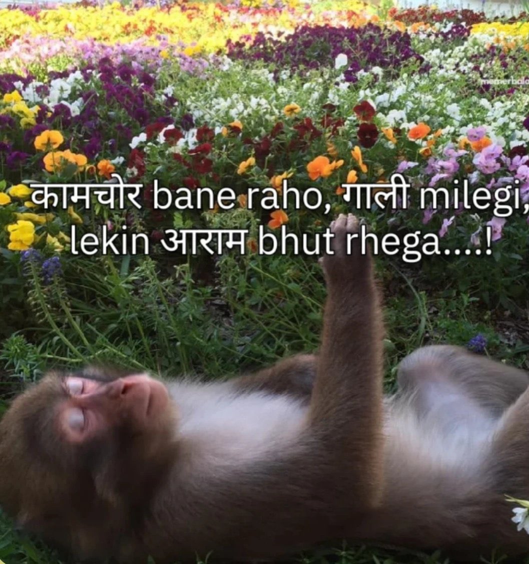 shivrockstar's tweet image. Disagreeee to Agreeee 😒🙃