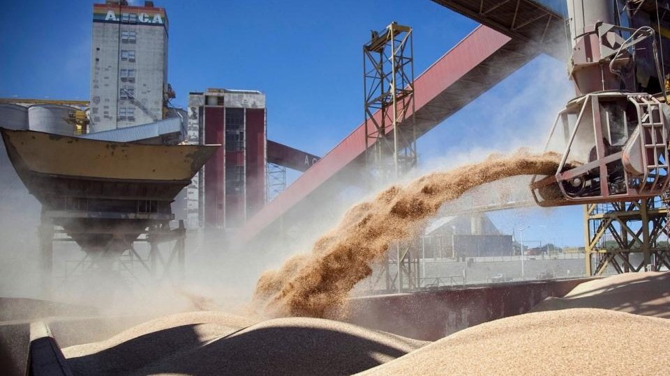 LT8am830's tweet image. #Trascendental Retenciones "A partir de los anuncios sube el alquiler del campo. Estas medidas otorgan mayor capacidad financiera a los sectores concentrados para alquilar los campos. La baja de retenciones fideliza a los votantes de Milei" Pablo Pailolle, Bases Federadas