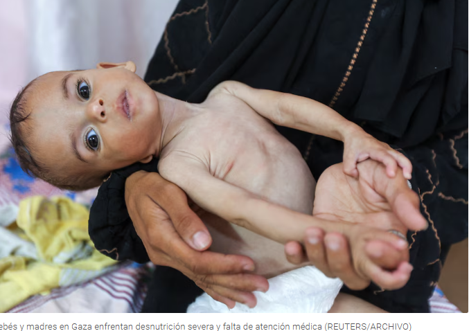 CRIturralde1's tweet image. HIJOS DE PUTA
1. Israel continúa restringiendo el acceso de alimentos y asistencia médica en Gaza. 
2. Cada niño que muera te lo vamos a facturar también a vos @JMilei, la concha de tu madre
3. No estoy con Irán ni Israel (solo me importa Argentina), pero todo buen cristiano debe…