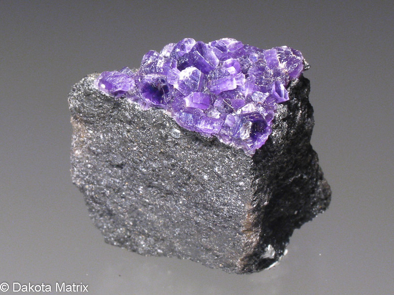 geologyBits's tweet photo. In Geology ✔️ Mineralogy - Botany
#Mineralogy #Geology #Amesite #RockHounds

💓🔁 Unveiling Amesite: The Rare Serpentine Gem of Metamorphic Marvels

 ▶️ Discovered in the heart of Massachusetts’ emery mines, amesite is a mineral that whispers tales of ancient geological transformations.

Its rarity and unique composition make it a hidden treasure in the world of mineralogy. Ready to dive into its story?

▶️ Formation Story
Amesite was first identified in 1876 at the Chester Emery Mines in Hampden County, Massachusetts, named after mine owner James Ames.

This uncommon silicate
mineral forms under specific conditions of low-grade metamorphism, where rocks rich in aluminum and magnesium undergo subtle yet profound changes.

Imagine ancient oceanic crust
subjected to gentle heat and pressure, slowly transforming into a crystalline marvel.

Amesite emerges
in this delicate dance of geological forces, often found nestled alongside minerals like vesuvianite, chlorite, and magnetite.

▶️ Geological Information
Amesite, with the chemical formula Mg₂Al₂SiO₅(OH)₄, is a member of the serpentine group, specifically a trioctahedral 1:1 layer silicate.

It crystallizes
in the triclinic crystal system, characterized by three unequal axes not at right angles, giving it a unique structural complexity.

Several polytypes exist
including 2H₁, 2H₂, and 6R, reflecting variations in its layered structure.

Chemically, it shares similarities
with sudoite and clinochlore but stands out due to its distinct aluminum and magnesium content.

Amesite forms in environments
where aluminum- and magnesium-rich rocks, such as ultramafic or mafic rocks, undergo low-grade metamorphism, typically at temperatures below 300°C.

It is often associated
with minerals like vesuvianite, chlorite, magnetite, rutile, diaspore, grossular, calcite, diopside, and clinozoisite.

Globally, amesite is reported
in localities including the United States, Canada, Antarctica, South Africa, Russia, Sweden, and Poland, but its rarity keeps it a prized find.

Notably, chromium can impart
a striking purple hue to amesite, as seen in some Russian deposits, though this is not essential to its composition.

▶️ Interesting Fact
Amesite from certain localities, like the Saranovskaya Deposit in Russia’s Ural Mountains, exhibits a captivating color-changing property due to trace chromium.

This purple-hued amesite
sometimes mistaken for clinochlore, can shift shades under different lighting, making it a fascinating specimen for collectors and researchers alike.

🔎 Have you ever encountered a rare mineral like amesite in the field or in a collection?

💓🔁 Like & Share your favorite mineral find or let us know what fascinates you about geological treasures! 

🎞️ Chrome Amesite in Vibrant Purple on Green Garnet – A Unique Mineral Rarity
https://t.co/NBFSt5ChGh

Photos: https://t.co/XY8yW3JJbm - https://t.co/LGYgWQwHFj