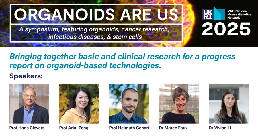 organoidscience's tweet image. There are only a few days left to submit your abstract for a chance to present your research to an international audience at Organoids Are Us 2025.
📆23 - 26 September 2025
📍Glasgow, Scotland
Find out more about the invited speakers and program here: bit.ly/4lGeToY