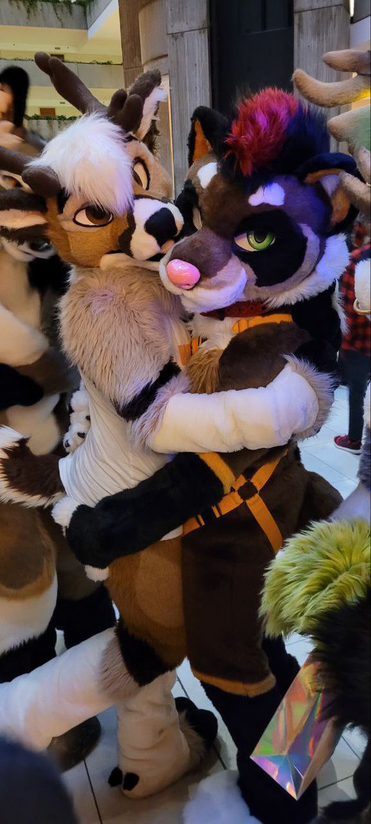 Can I keep him? 🥰
#MFYMonday 
Cutie to the right <a href="/DadDeerDamian/">Blackjack</a> 
📸?😅