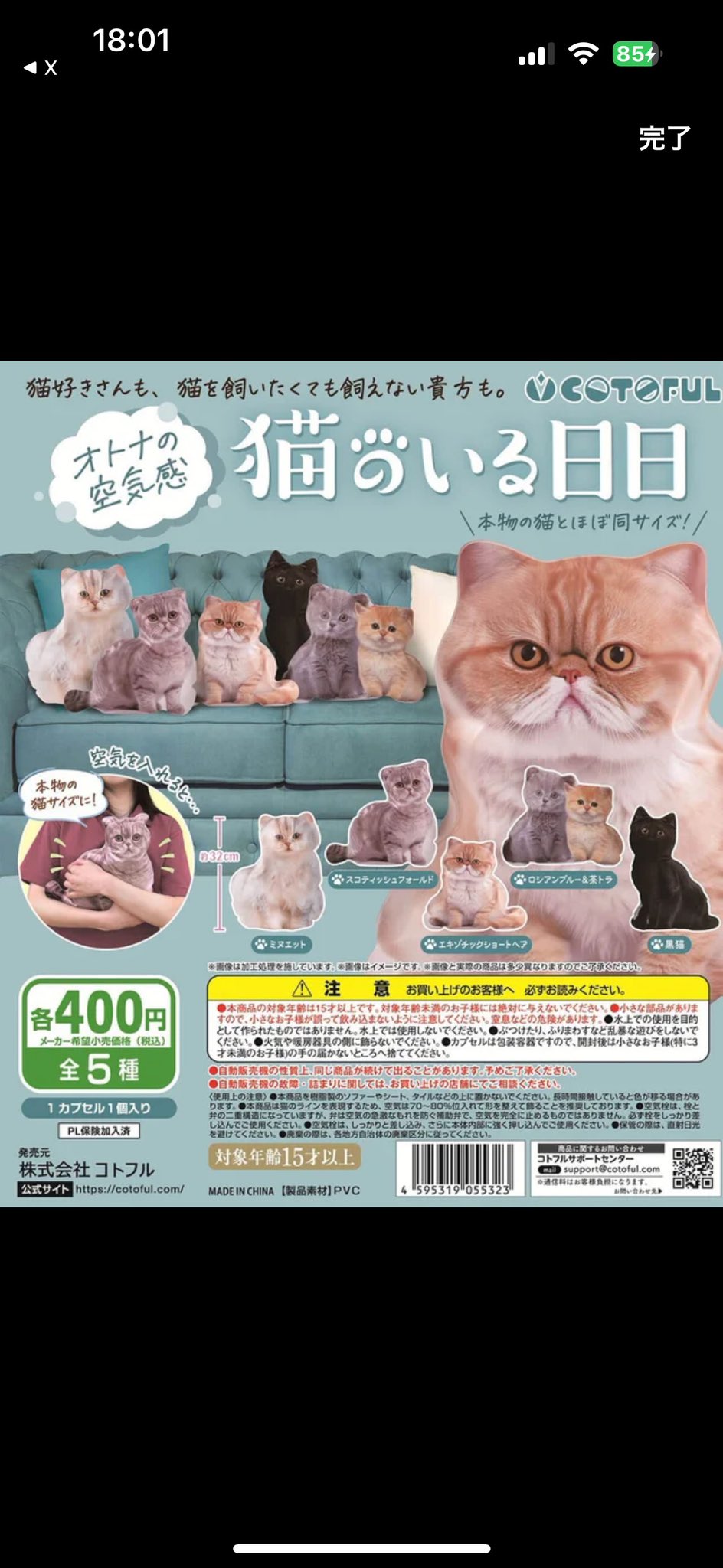 猫のいる日日 - Search / X