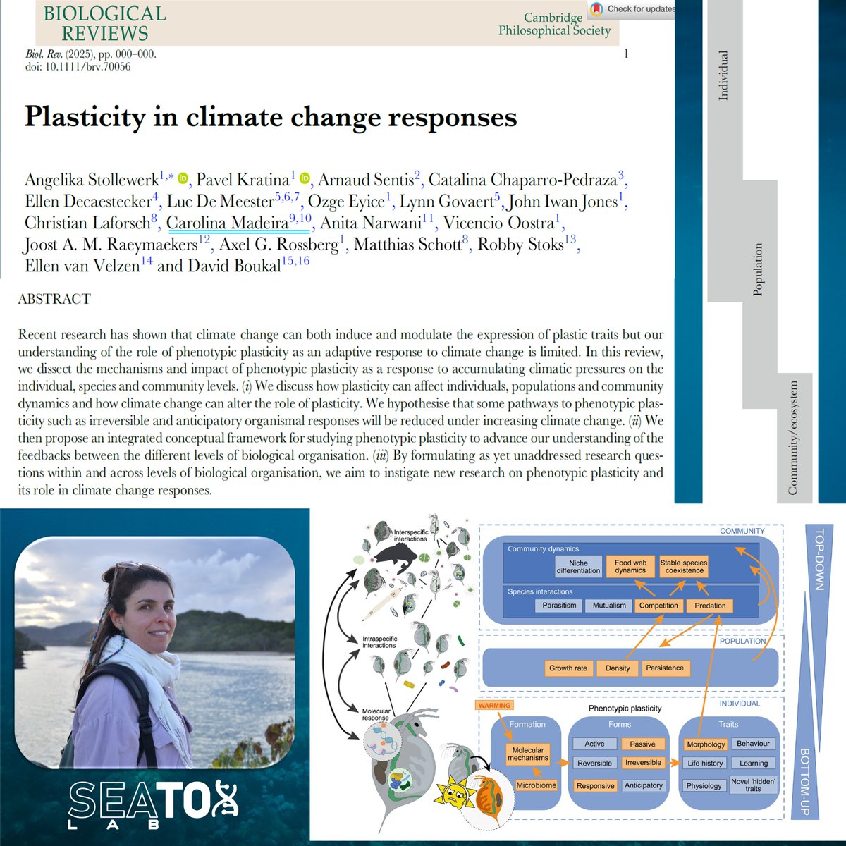 Carolina Madeira tweet media