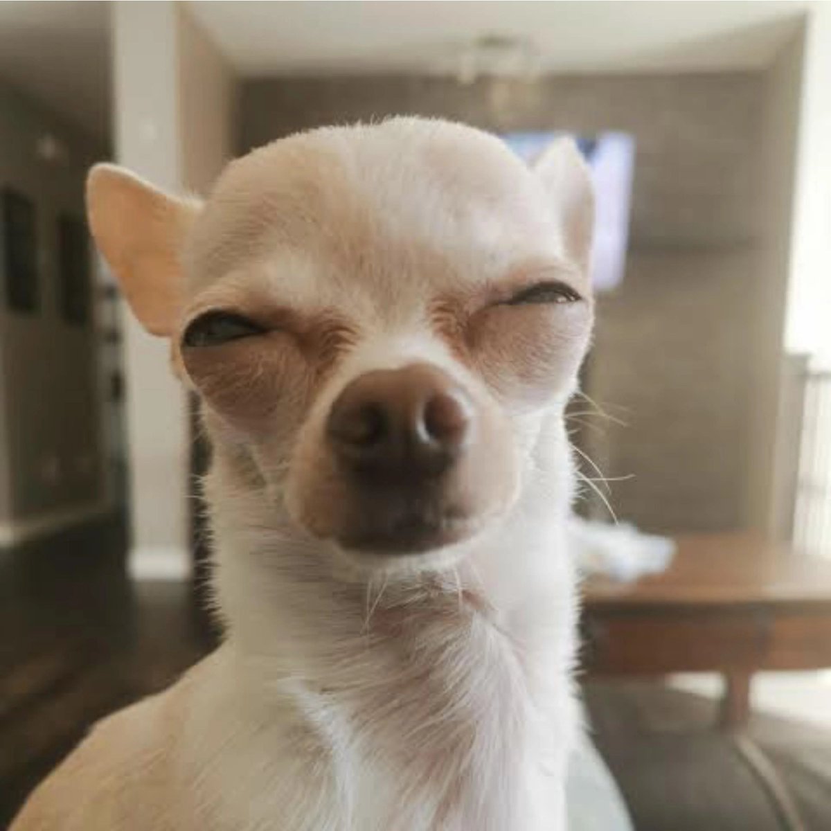 that feeling when you wake up and try to check X on ur phone but Face ID doesn't even work cuz you are so freaking ugly