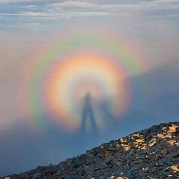 TioJimbe's tweet image. ¿Conoces el &quot;espectro Brocken&quot;?

Se trata de un fenómeno óptico poco frecuente, que se produce cuando una persona u objeto se sitúa a una altura superior en las montañas y su sombra se proyecta sobre una nube situada a una altura inferior.

One Piece siempre a la vanguardia.