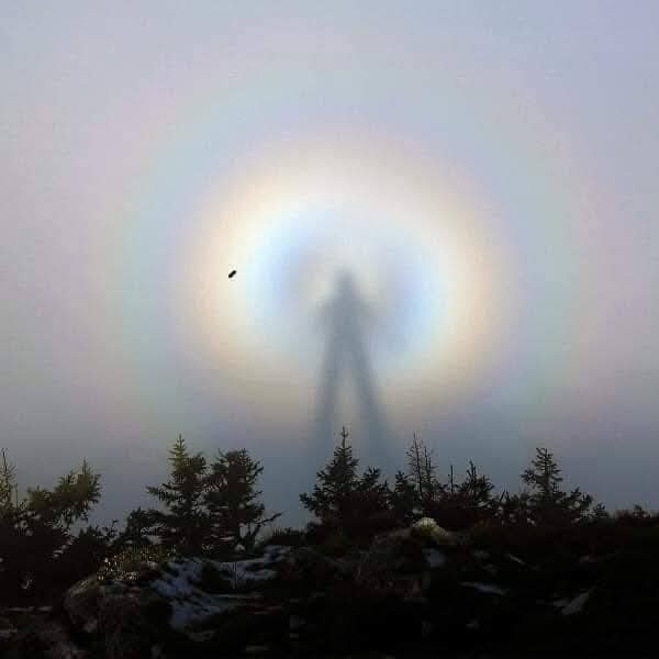 TioJimbe's tweet image. ¿Conoces el &quot;espectro Brocken&quot;?

Se trata de un fenómeno óptico poco frecuente, que se produce cuando una persona u objeto se sitúa a una altura superior en las montañas y su sombra se proyecta sobre una nube situada a una altura inferior.

One Piece siempre a la vanguardia.