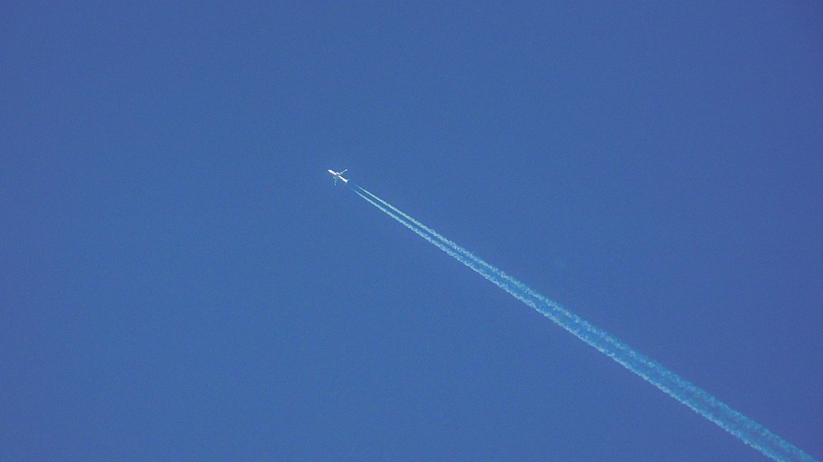 vivrelamer's tweet image. mon été est bleu
