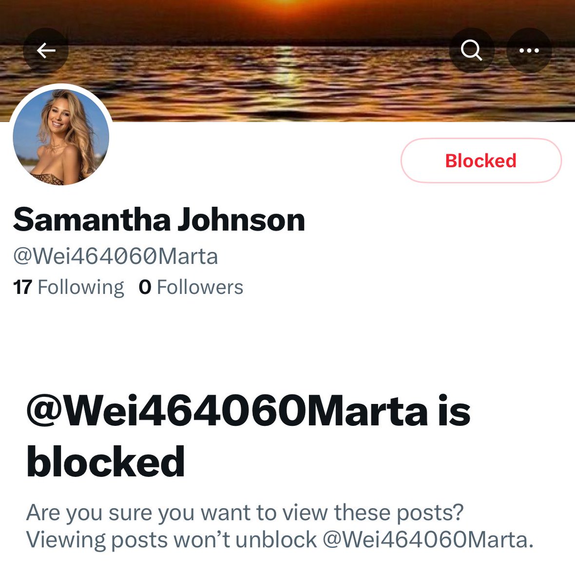 FYI, another fake account 😔