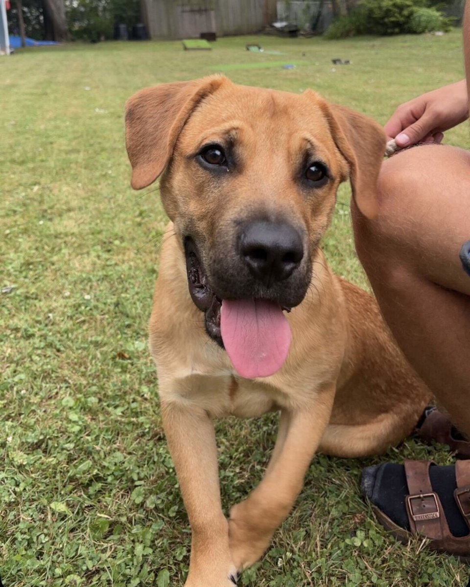 UPDATE:
Hey guys! This is formerly Fred now Bruce! Doing great :)