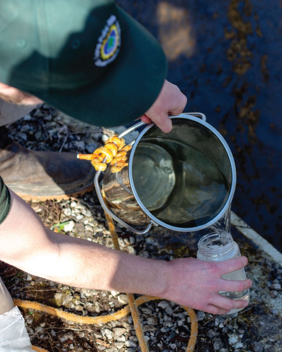 Happy #worldnatureconservationday 🦋🌲🐝
Today is all about remembering the importance of protecting our environment, so take a minute today to reflect on what nature means to you and what you can do to help conserve it! #conservationmatters